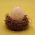 6 x 60g Bath Eggs in Tray - Banana