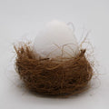 6 x 60g Bath Eggs in Tray - Coconut